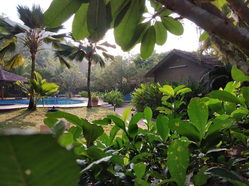 栀子花度假村主图