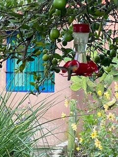 Andean Spirit Lodge主图