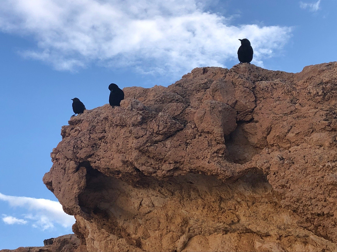 Ein Yorkeam-Yeruham必去景点