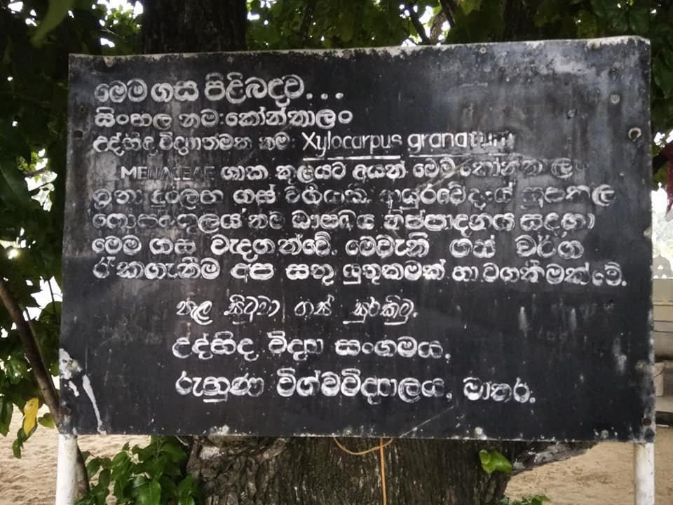 Unawatuna Devol Devalaya-乌纳瓦图纳必去景点