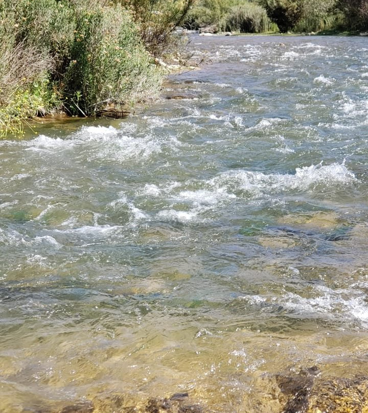 Hotel Vertientes de Elqui主图