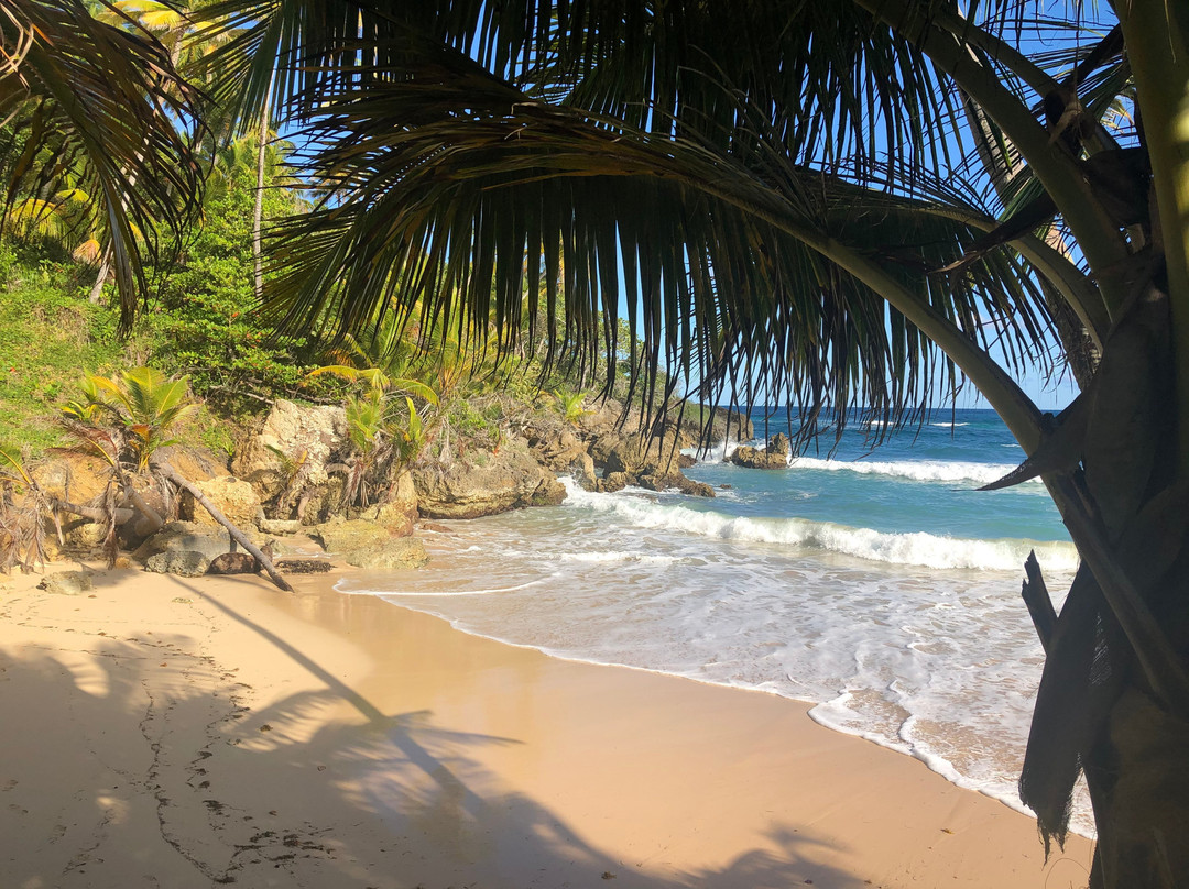 Playa Grande-Cabrera必去景点