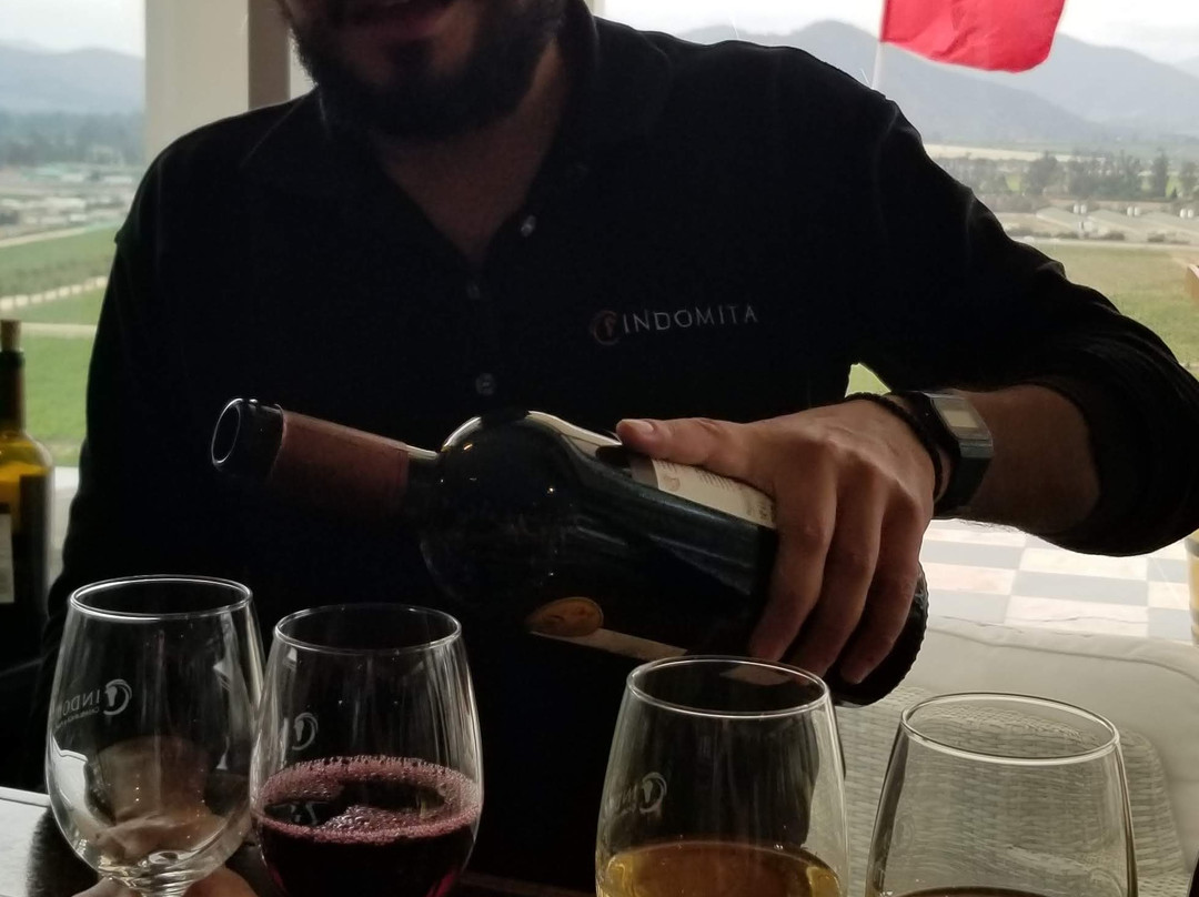 Indomita Casablanca and Maipo Vineyards-卡萨布兰卡必去景点