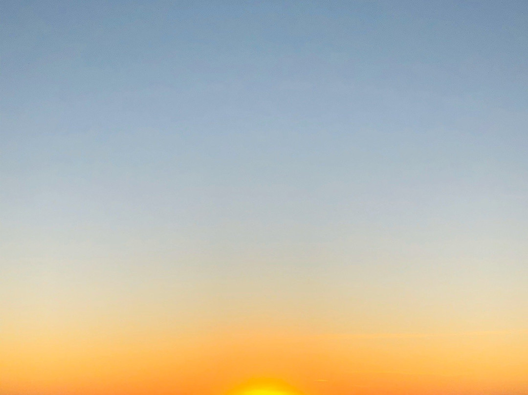 Pine Gully Park-Seabrook必去景点