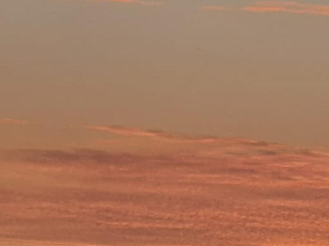 Hotel Portobello主图