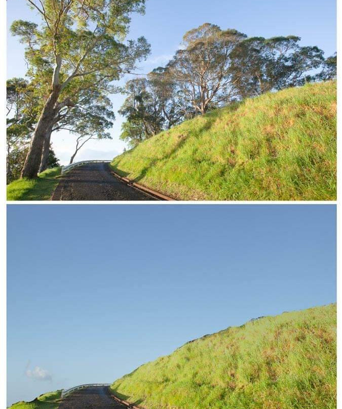 Mount Albert - Owairaka Domain-奥克兰必去景点