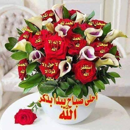 Mit Ghamr餐馆和美食-7 Days Pizza