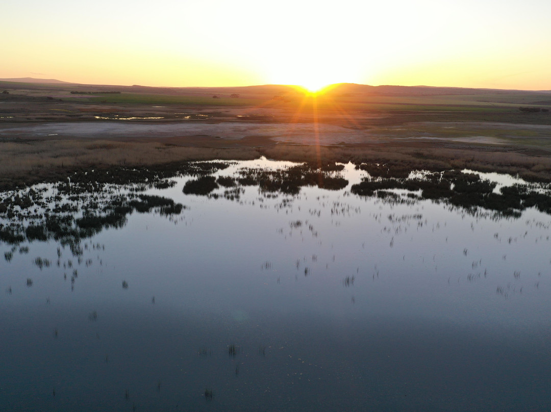 Nuwejaars Wetlands Guided Tours-Bredasdorp必去景点