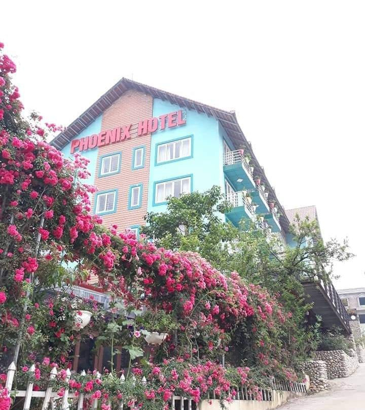 Phoenix Sapa Hotel主图