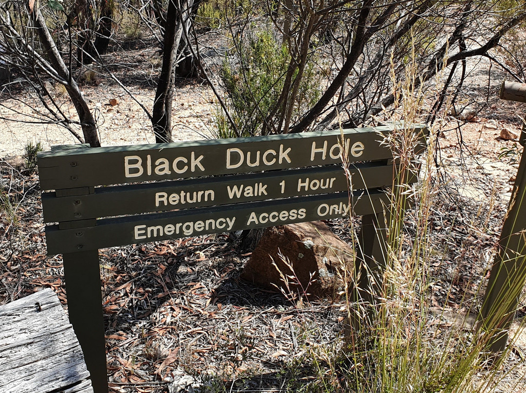 Black Duck Hole景点图片