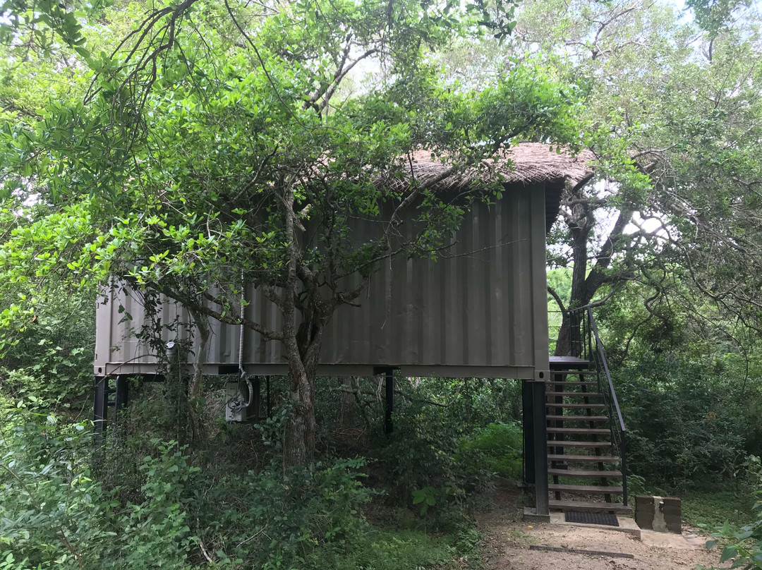 The Backwaters主图