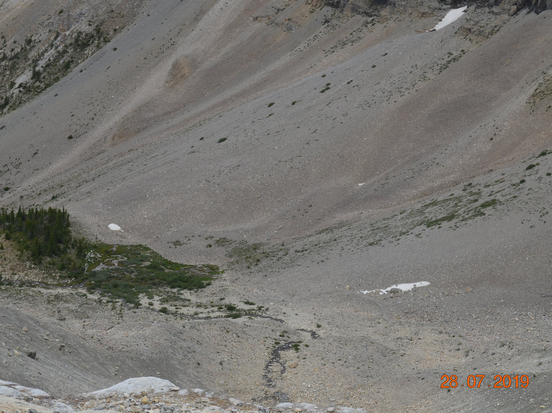 Stanley Glacier Hike景点图片