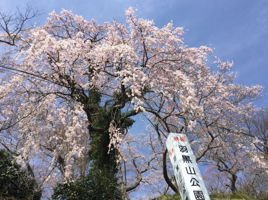Hagurosan Park-大崎市必去景点