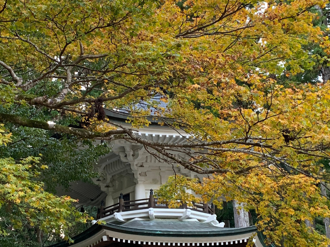 Rokkaku Kyozo-高野町必去景点