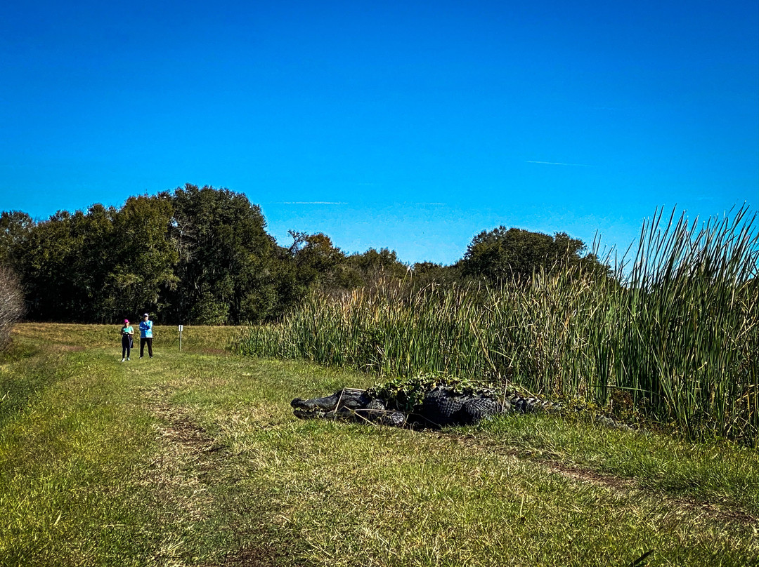Se7en Wetlands-莱克兰必去景点