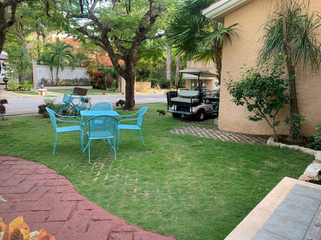 Chez Waffle Hotel主图