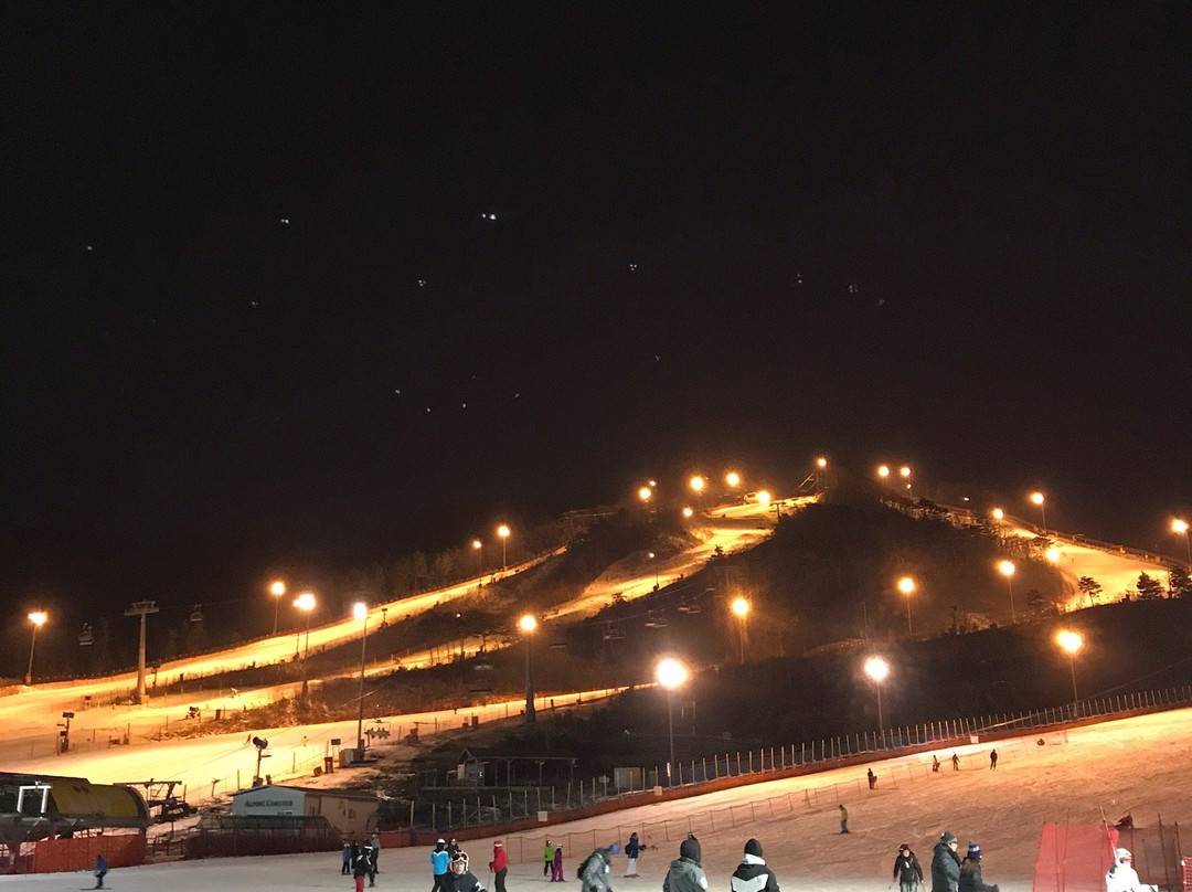 Alpensia Ski Jump Lounge景点图片