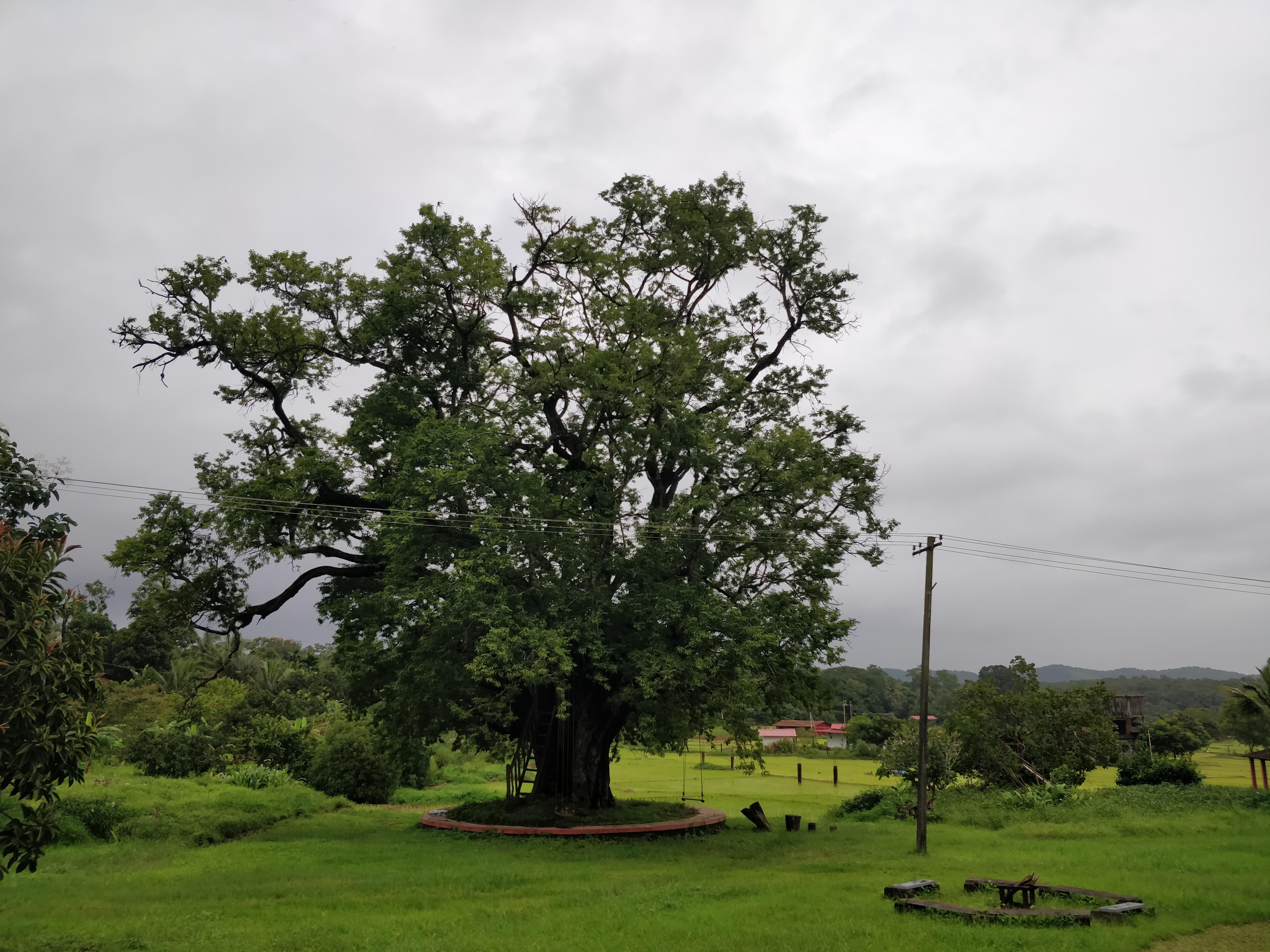 Dandeli Chalet-家庭/游戏区