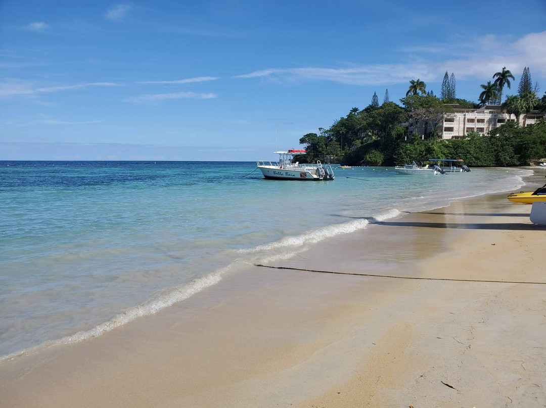 Peat Taylor Tours-奥乔里奥斯必去景点