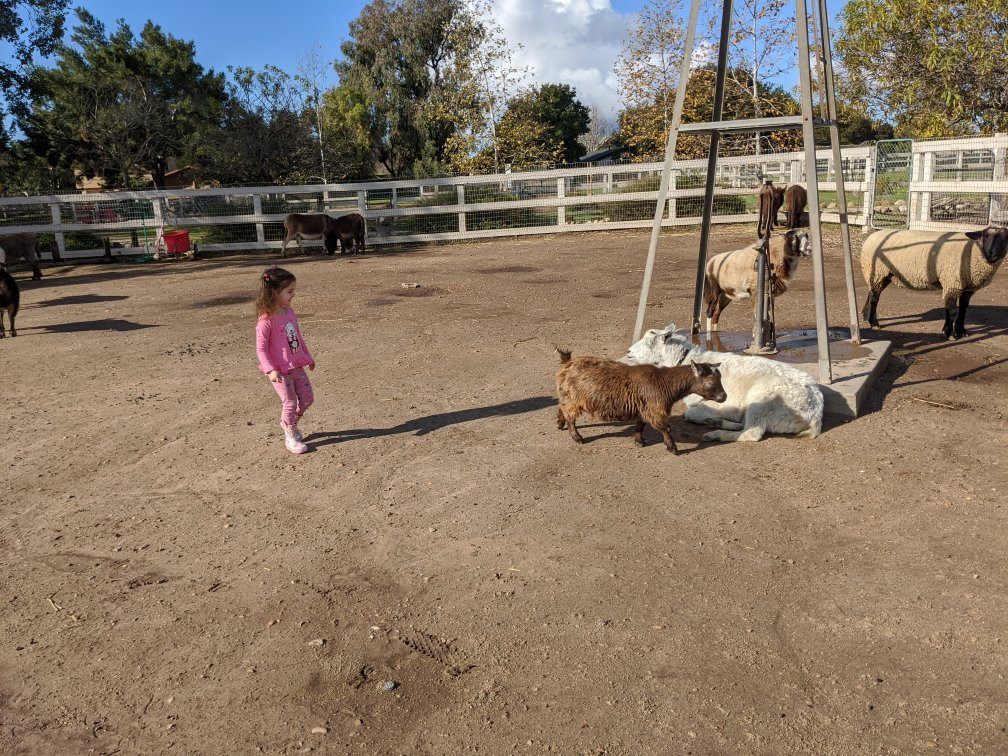 Seein' Spots Farm-索尔万必去景点