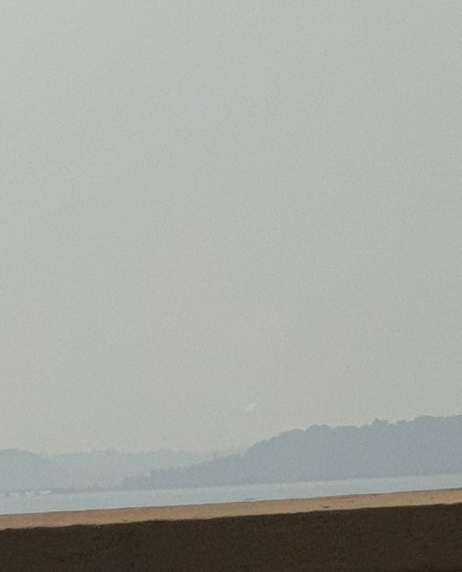 Zuari River景点图片