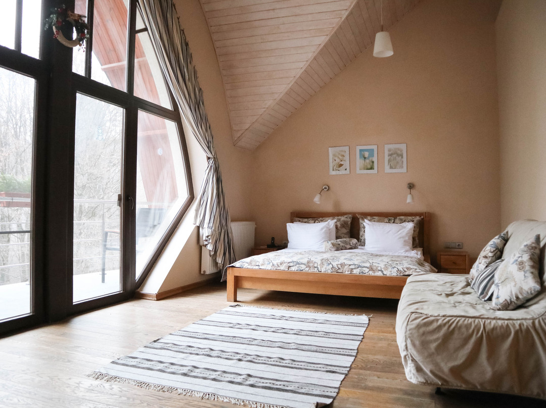 Villa Kvitka Country Hotel主图