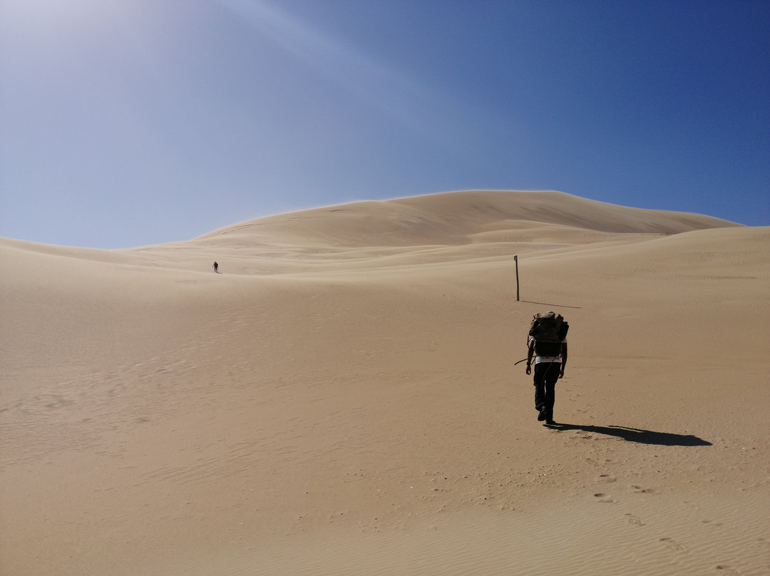 Alexandria Hiking Trails-Addo Elephant National Park必去景点