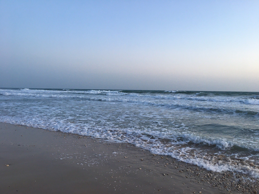 Okunivka Beach-Okunivka必去景点