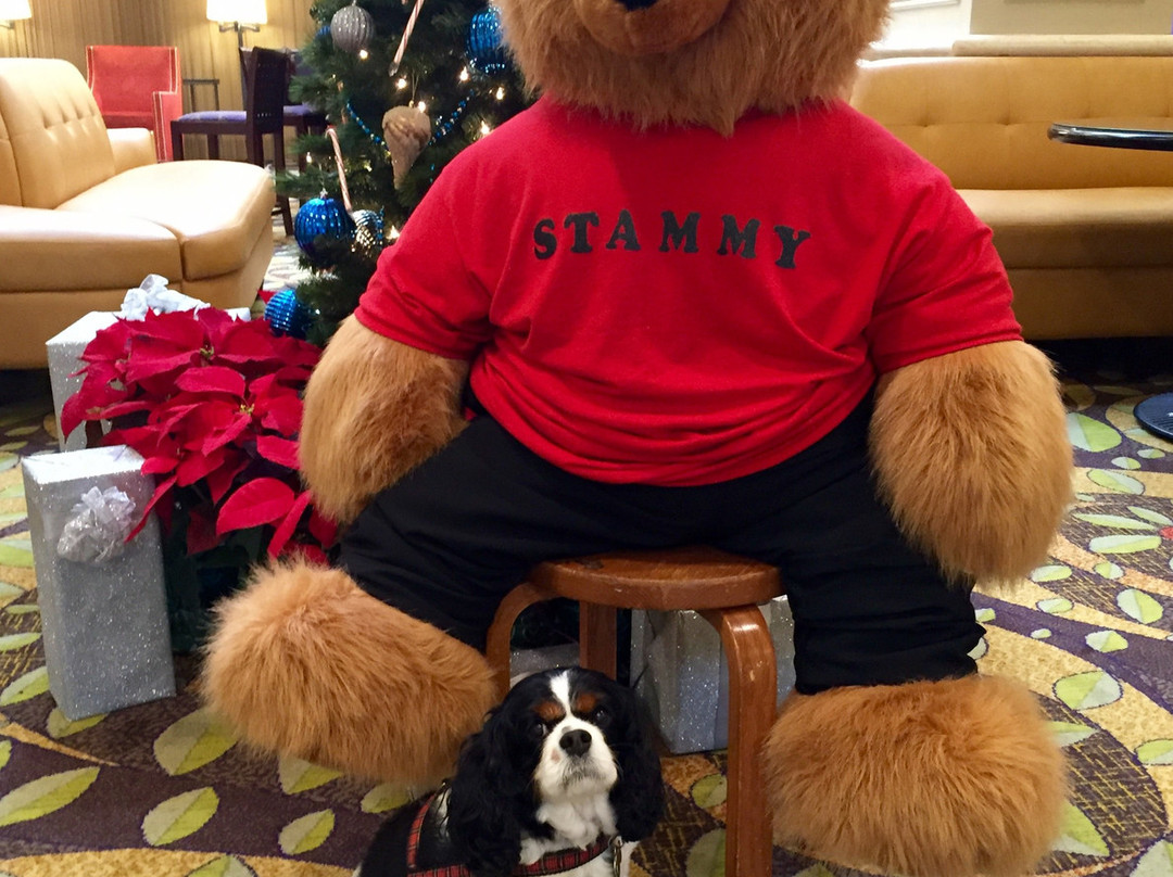 Stamford Marriott Hotel & Spa主图