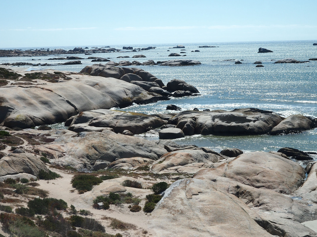 The Oystercatcher’s Haven主图