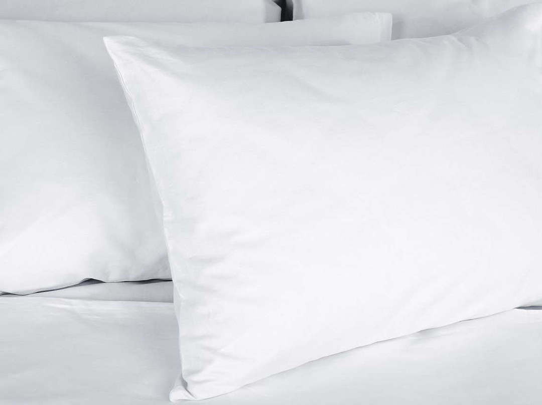 Magnuson Hotel Park Vue主图