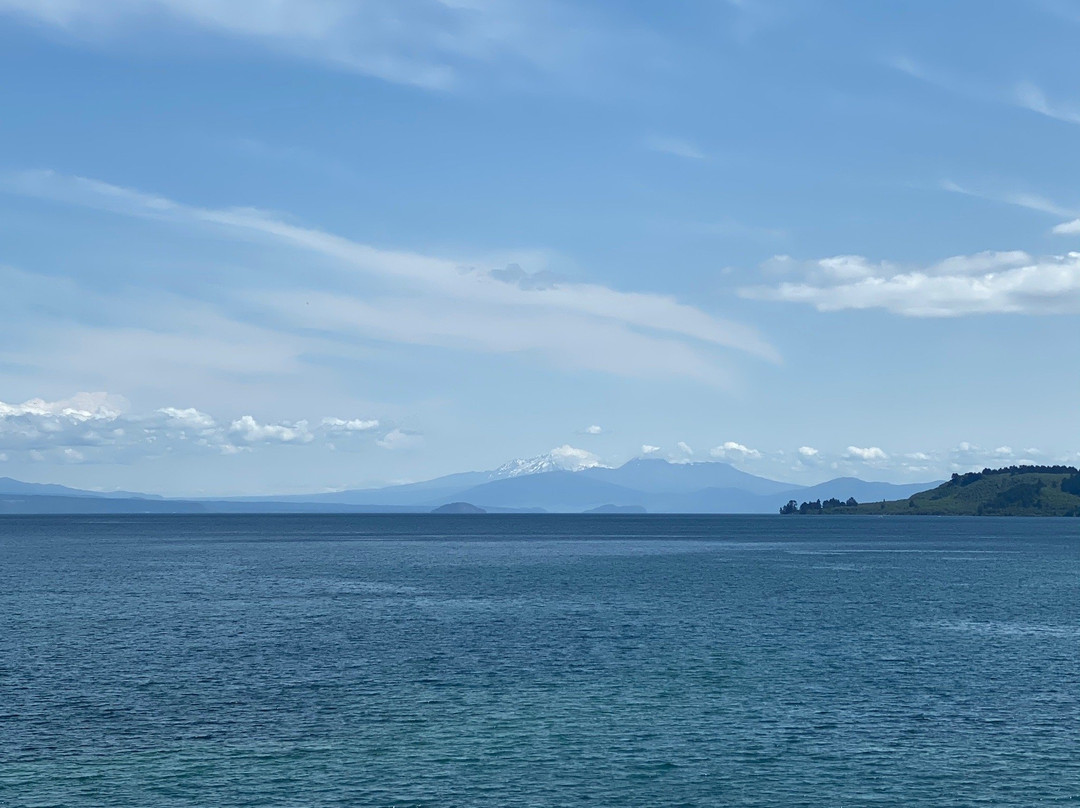 My Waka Your Waka景点图片