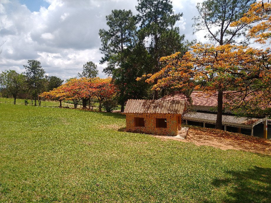 Parque do Trabalhador - Corrupira-容迪亚伊必去景点