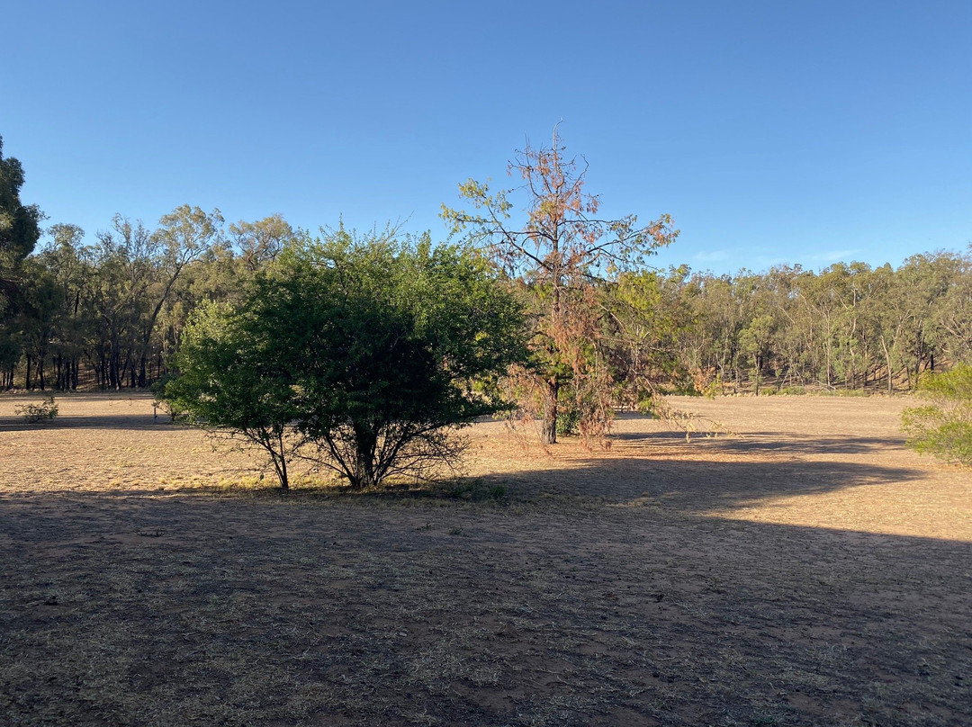 Warrumbungles Mountain Motel主图