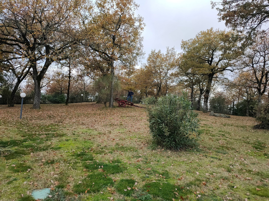 B&B Country House Poggio Del Drago主图