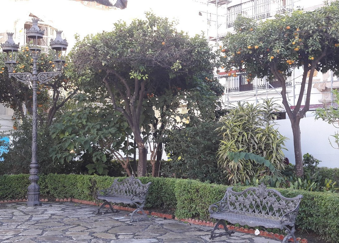 Plaza de las Flores de Estepona景点图片