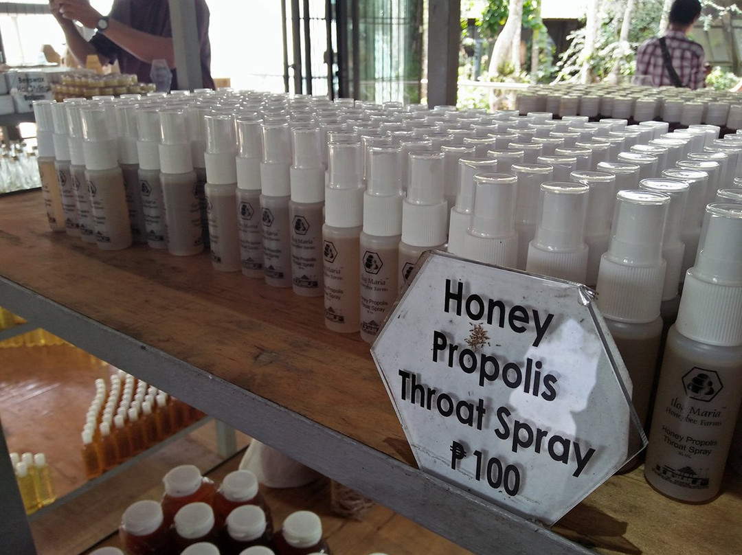 Ilog Maria Honeybee Farm-吕宋岛必去景点