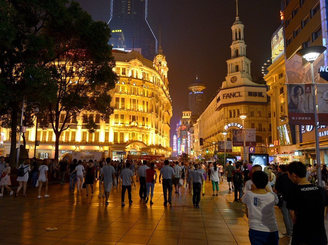 Shanghai Guide and Driver-上海市必去景点