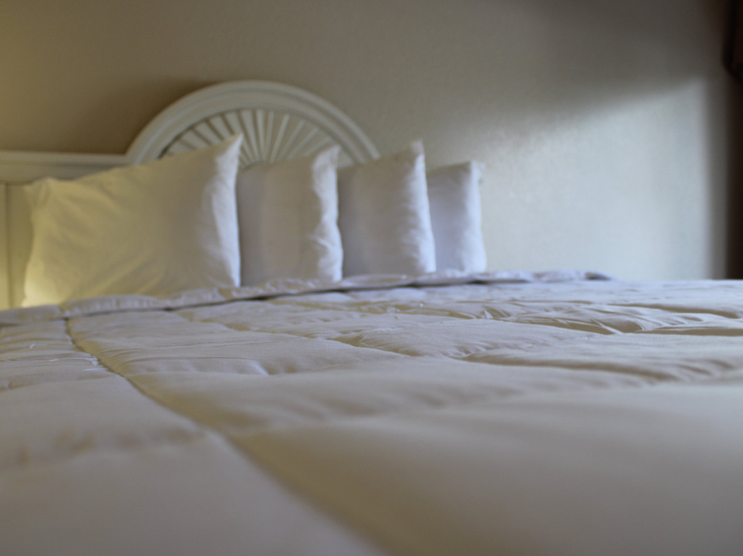 Vero Beach Inn & Suites By I95主图