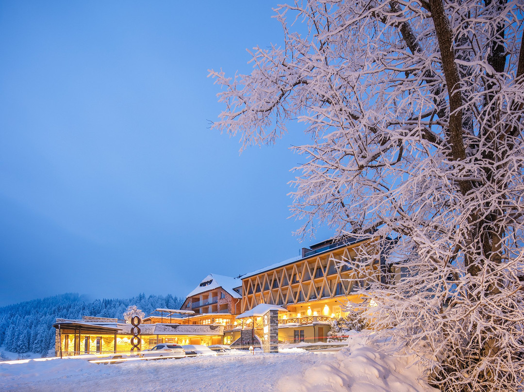 Almwellness Hotel Pierer主图