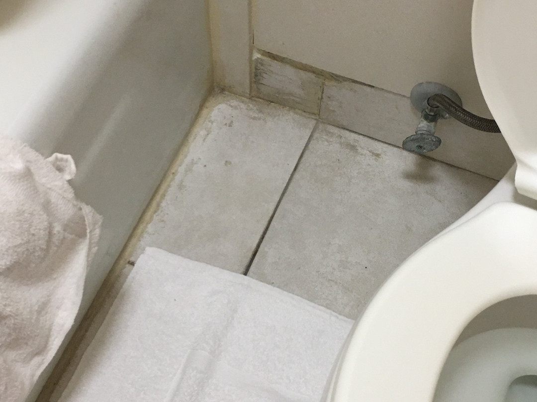 Econolodge Port Canaveral Area主图