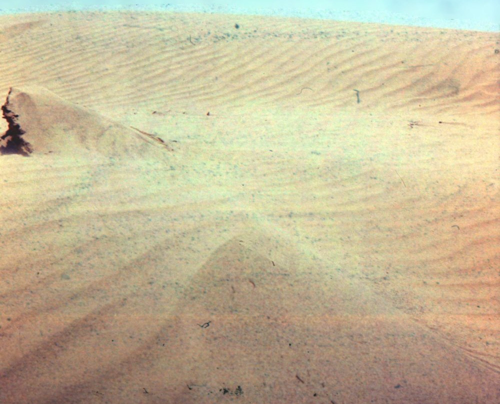 Tunisian Sahara景点图片