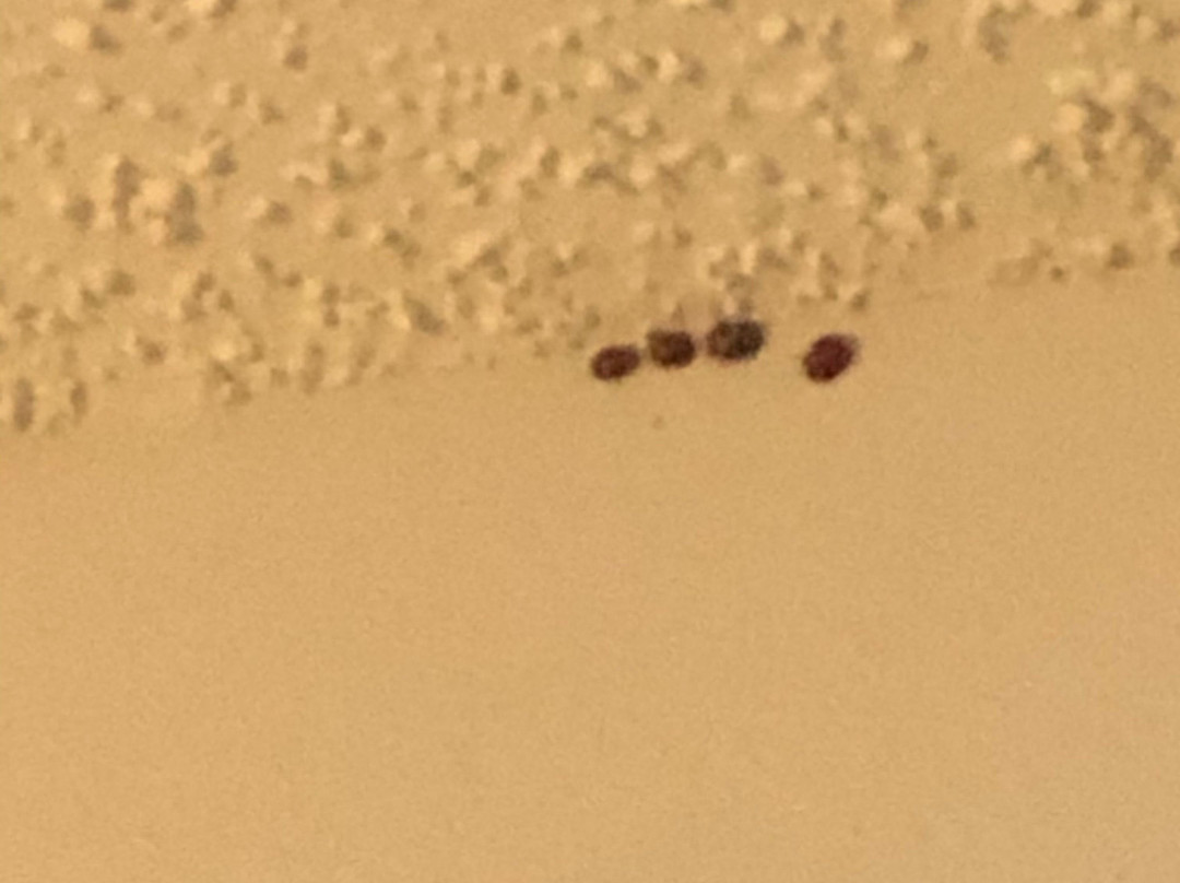 DoubleTree by Hilton Hotel Baton Rouge主图