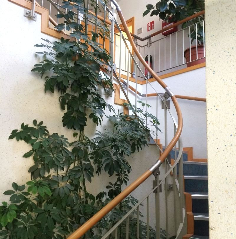 Sporthotel Zum Sportforum主图