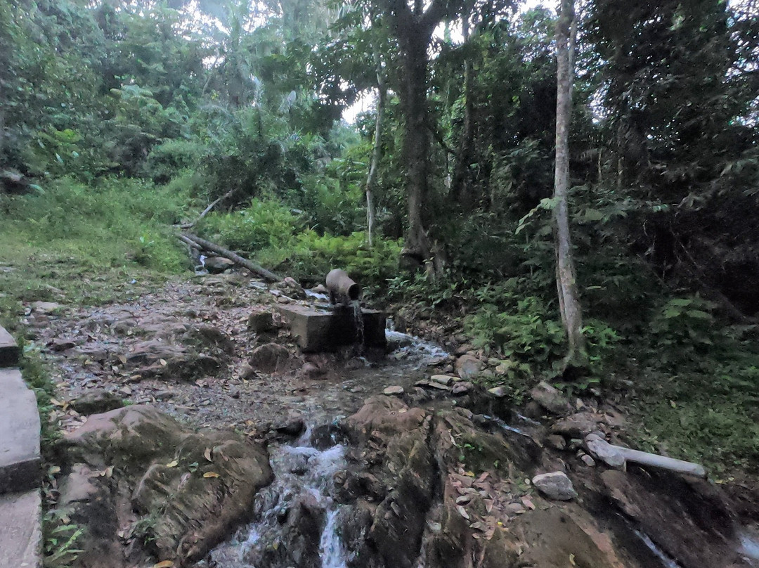 Ikogosi Warm Springs景点图片