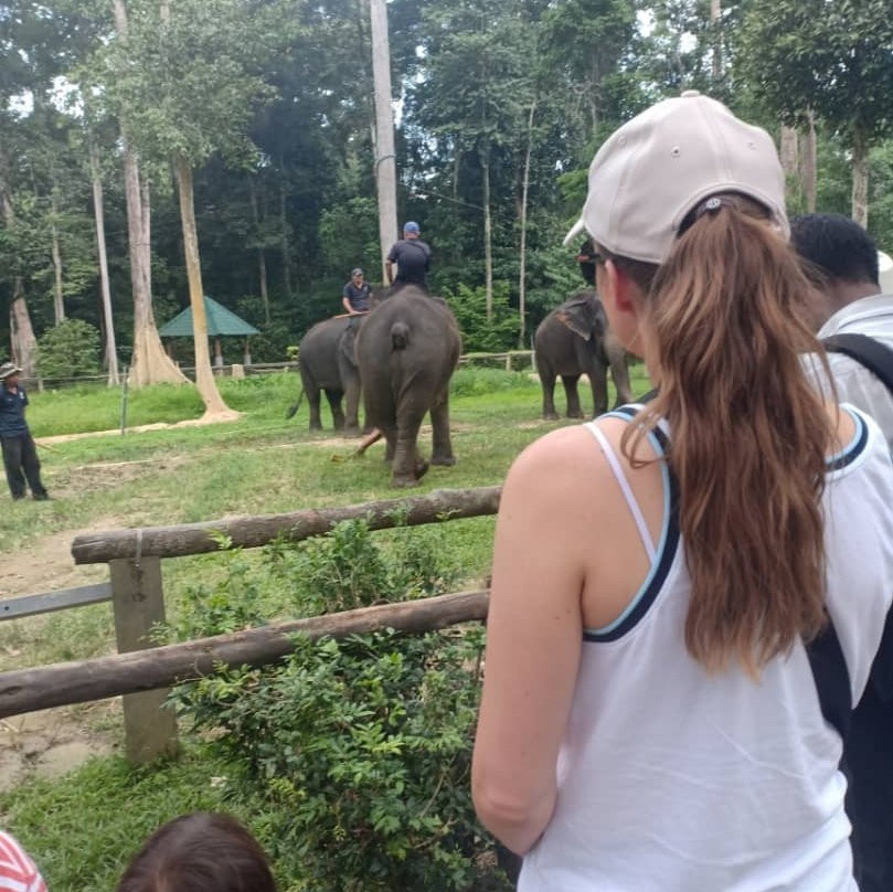 Kuala Gandah Elephant Sanctuary-彭亨必去景点