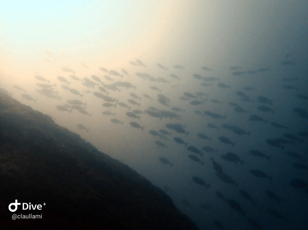 Blue Deep Diving Centre景点图片