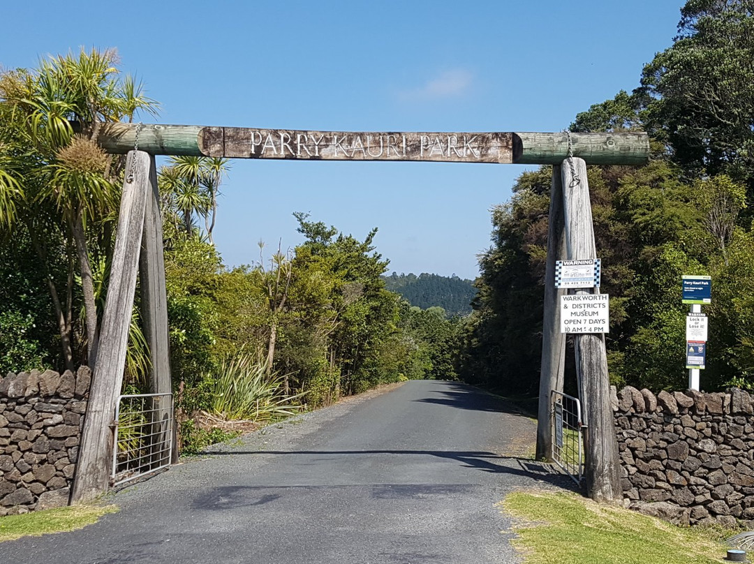 Parry Kauri Park-瓦卡沃夫必去景点