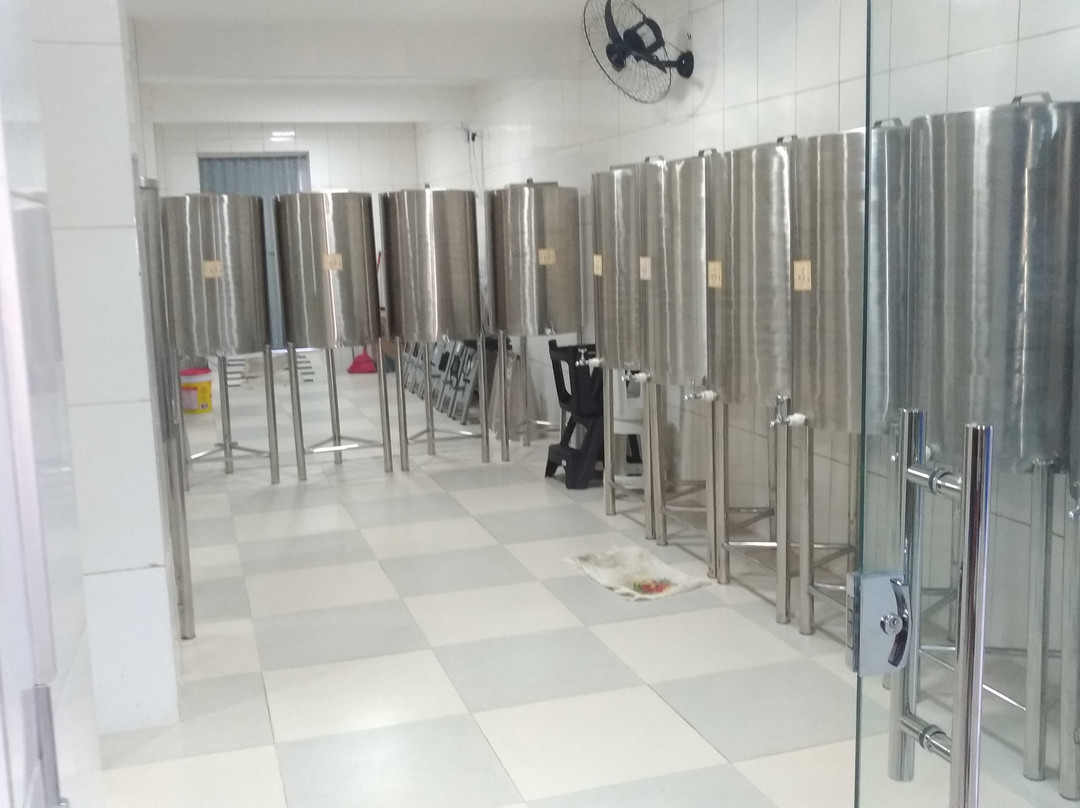 Licor Roque Pinto-Cachoeira必去景点