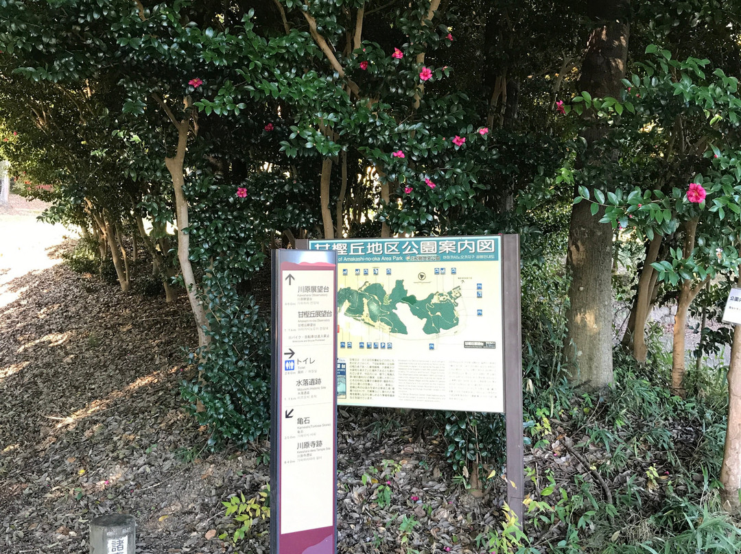 Amakashi no Oka-明日香村必去景点